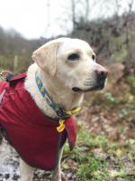 Happiness in nature
(Ella)